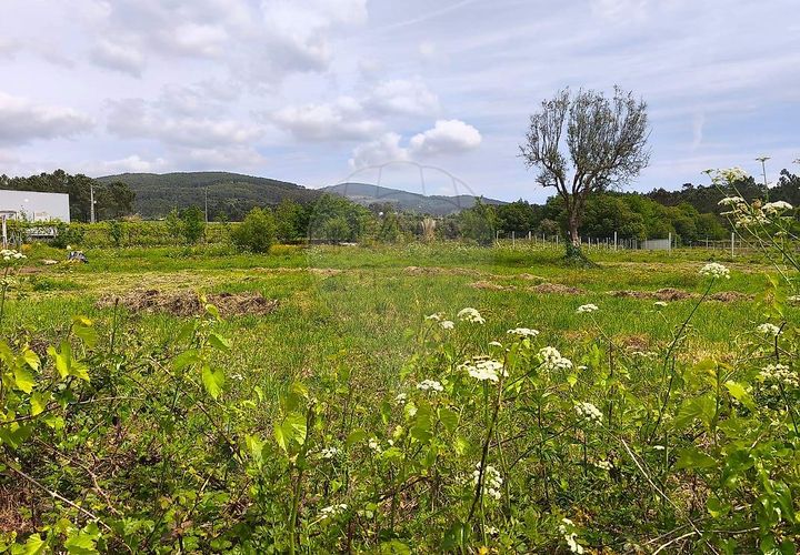 Helårsgrund i Ponte de Lima, Viana do Castelo, Ponte de Lima - € 95.000 | Ref: 123731006-166 - foto 1
