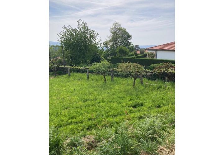 Terra a Formariz e Ferreira, Viana do Castelo, Formariz e Ferreira - € 77.500 | Ref: TC185 - foto 1