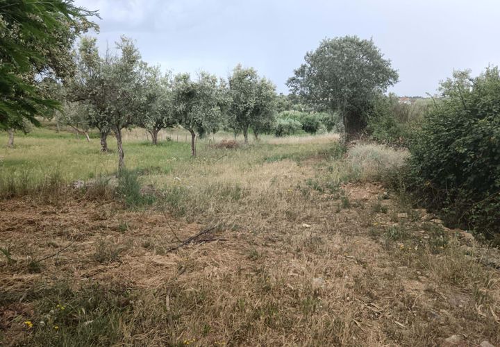Helårsgrund i Castelo Branco, Castelo Branco, Castelo Branco - € 5.000 | Ref: C0434-01275 - foto 1