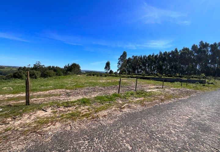 Terra a Vidais, Leiria, Vidais - € 80.000 | Ref: MO002-26 - foto 1