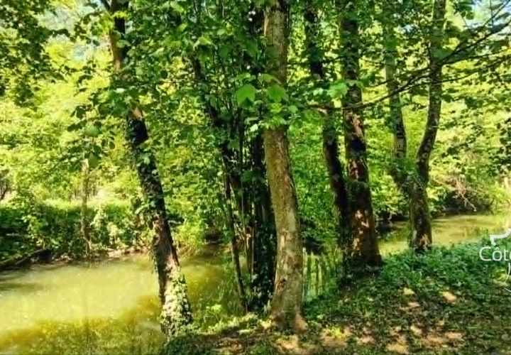 Terra a Macquigny, Aisne, Macquigny - € 23.500 | Ref: 9_7611 - foto 1