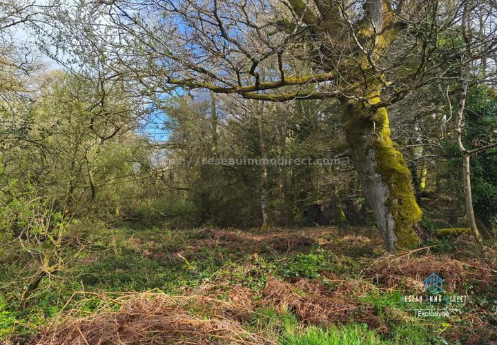 Terra a Priziac, Morbihan, Priziac - € 10.500 | Ref: 7228 - foto 1