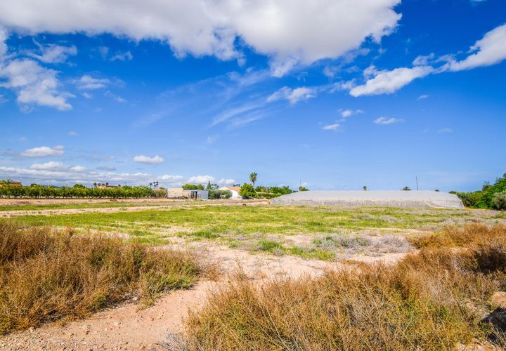 Masia a Elche, Alicante, Elche - € 138.000 | Ref: PC0031 - foto 1