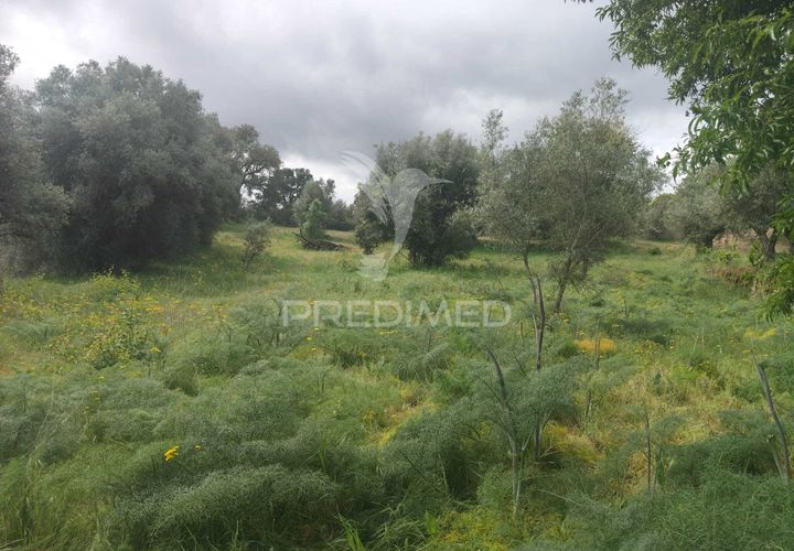 Helårsgrund i Almeida, Guarda, Almeida - € 20.000 | Ref: 060094 - foto 1