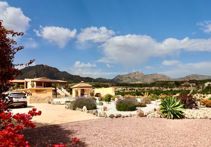Landejendom i Albatera, Alicante, Albatera - € 540.000 | Ref: PCE-1455 - foto 1