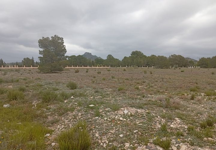 Helårsgrund i Salinas, Alicante, Salinas - € 75.000 | Ref: P5458 - foto 1