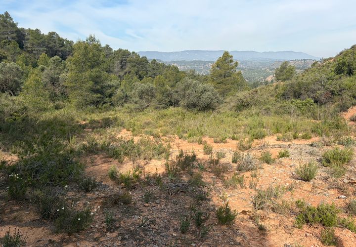 Terra a Asco, Tarragona, Asco - € 9.000 | Ref: Asc09jes - foto 1