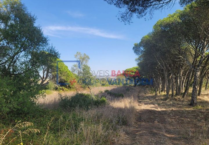 Helårsgrund i Sintra, Lisbon, Sintra - € 495.000 | Ref: T-29691 - foto 1