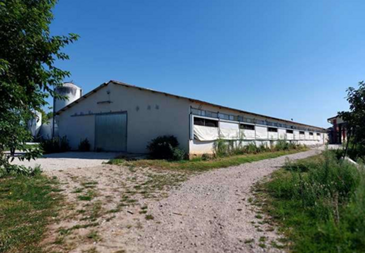 Erhvervsejendom i Sona, Verona, Sona - € 71.250 | Ref: GB22072026 - foto 1