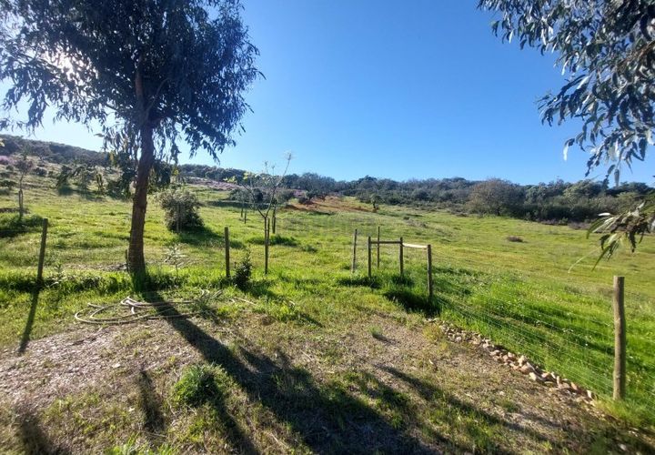 Landejendom i Alandroal, Evora, Alandroal - € 495.000 | Ref: CAS_420 - foto 1