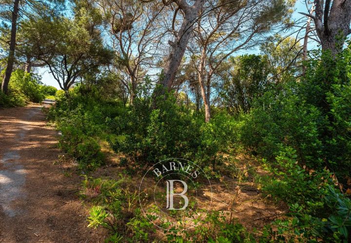 Tomt i Centuri, Haute-Corse, Centuri - € 480 000 | Ref: RV2145 - foto 1