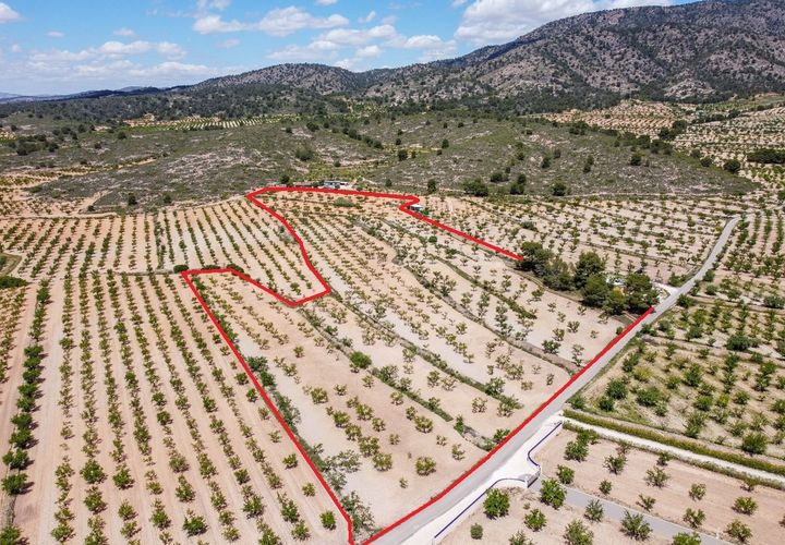 Terra a Pinoso, Alicante, Pinoso - € 47.950 | Ref: CF3337 - foto 1