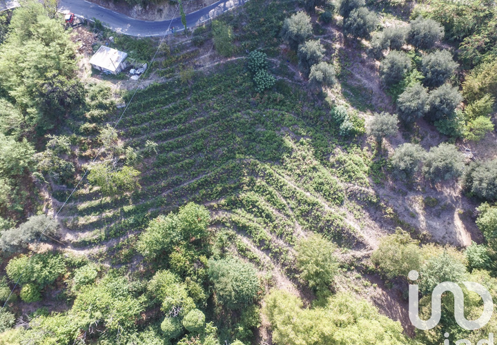 Terra a Sainte-Agnes, Alpes-Maritimes, Sainte-Agnes - € 918.000 | Ref: 86181 - foto 1