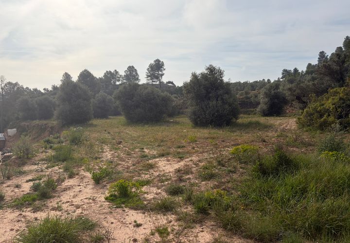 Terra a Asco, Tarragona, Asco - € 17.500 | Ref: Asc07jes - foto 1
