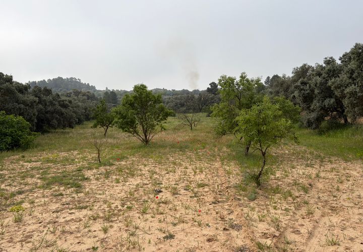 Terra a Asco, Tarragona, Asco - € 15.000 | Ref: Asc06jes - foto 1