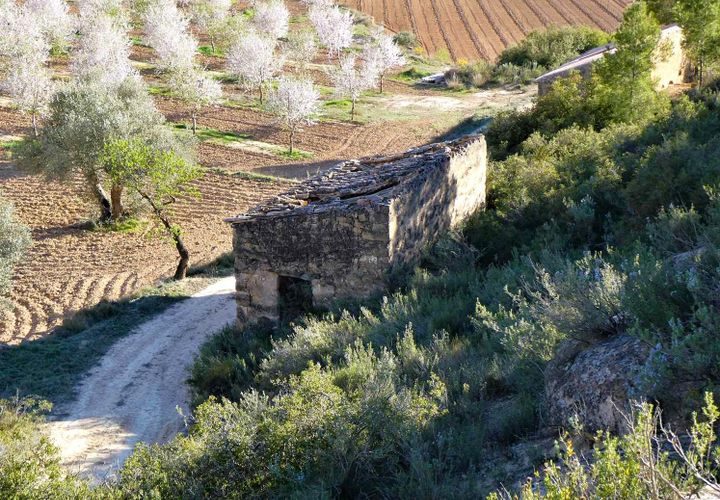 Finca i Batea, Tarragona, Batea - € 14.000 | Ref: 1123 - foto 1