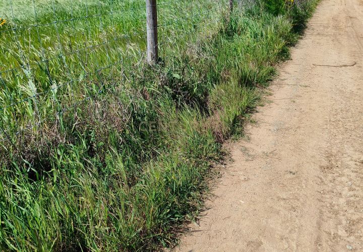Terreno en Redondo, Evora, Redondo - € 57.000 | Ref: C0185-03293 - photo 1