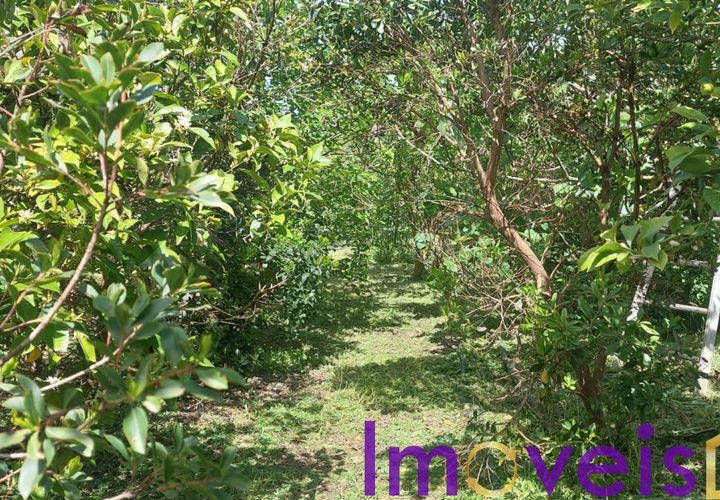 Helårsgrund i Castro Verde, Beja, Castro Verde - € 50.000 | Ref: TE -2026 / T HE - foto 1