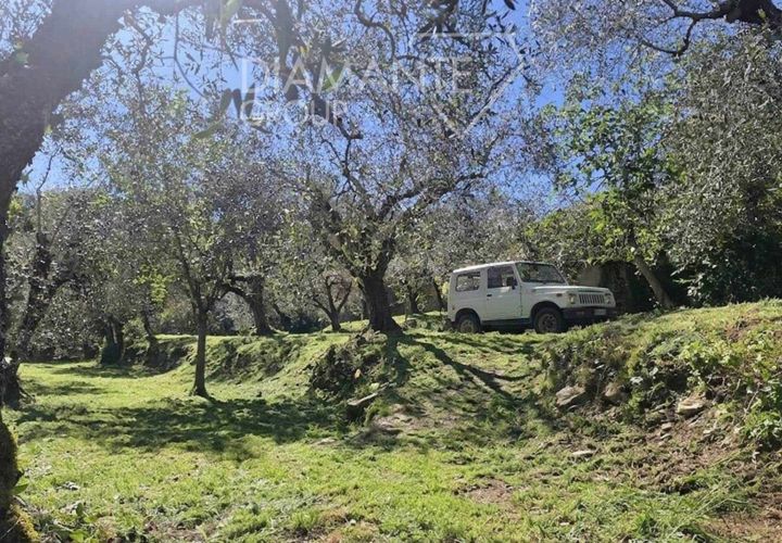 Helårsgrund i Panicale, Perugia, Panicale - € 30.000 | Ref: PN1808 - foto 1
