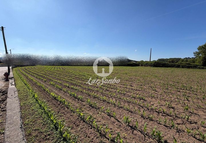 Helårsgrund i Vila do Conde, Porto, Vila do Conde - € 275.000 | Ref: 240-T-26257 - foto 1