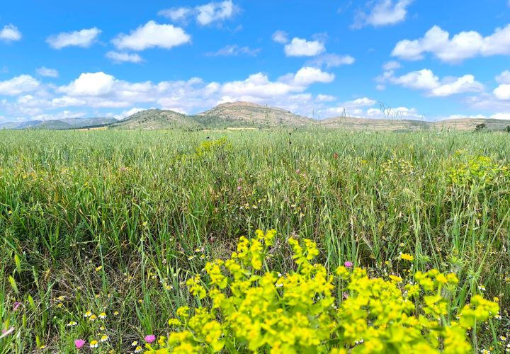 Helårsgrund i Yecla, Murcia, Yecla - € 55.000 | Ref: 70123 - foto 1