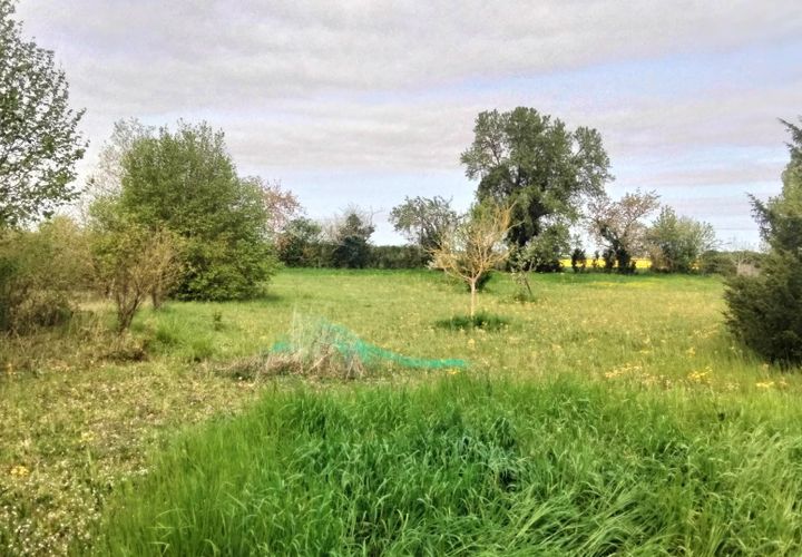 Terra a Charrais, Vienne, Charrais - € 33.500 | Ref: 9175R - foto 1