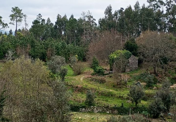 Villa i Mangualde, Viseu, Mangualde - € 30.000 | Ref: Q40 - foto 1