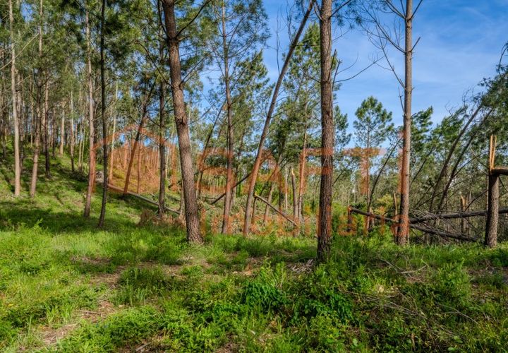 Helårsgrund i Leiria, Leiria, Leiria - € 50.000 | Ref: SAFTI:008217 - foto 1