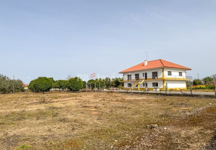 Farm i Golega, Santarem, Golega - € 682.000 | Ref: 01985-26 - foto 1