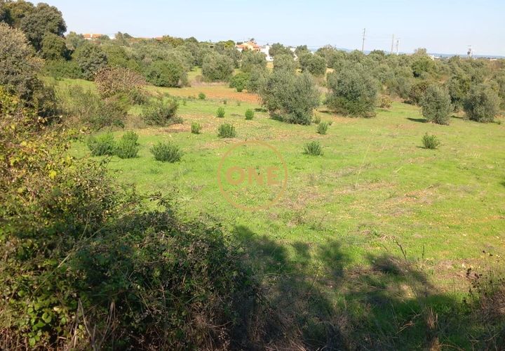 Helårsgrund i Tomar, Santarem, Tomar - € 15.000 | Ref: ONE501995-9 - foto 1