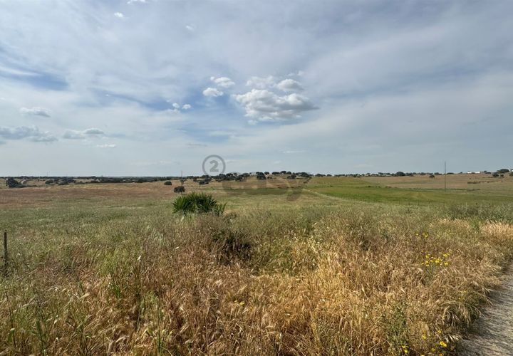 Terra a Castro Verde, Beja, Castro Verde - € 395.000 | Ref: 281671032 - foto 1