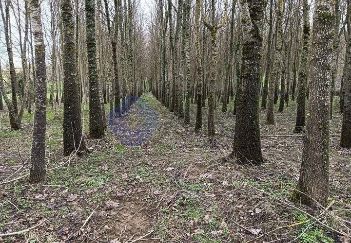 Helårsgrund i Vinhais, Braganca, Vinhais - € 130.000 | Ref: 1124441 - foto 1