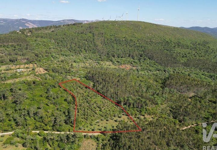 Terra a Ansiao, Leiria, Ansiao - € 14.000 | Ref: 914751 - foto 1