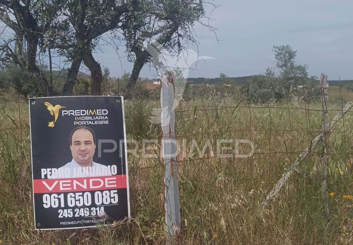 Terra a Nisa, Portalegre, Nisa - € 10.000 | Ref: 060127 - foto 1