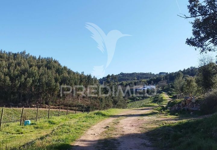 Farm hus i Castelo de Vide, Portalegre, Castelo de Vide - € 1.295.000 | Ref: 059504 - foto 1