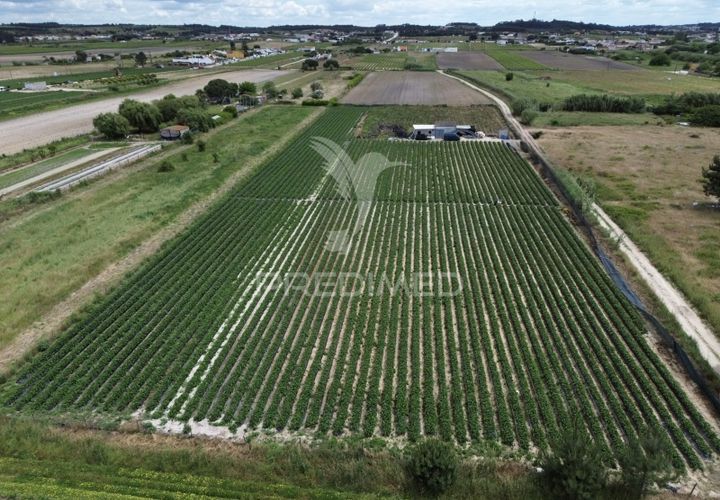 Terra a Alpiarca, Santarem, Alpiarca - € 48.000 | Ref: 060320 - foto 1