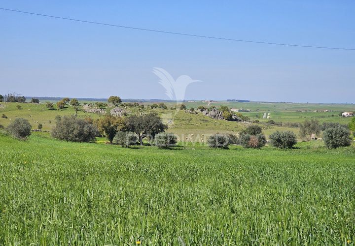 Terra a Castro Verde, Beja, Castro Verde - € 150.000 | Ref: 060423 - foto 1