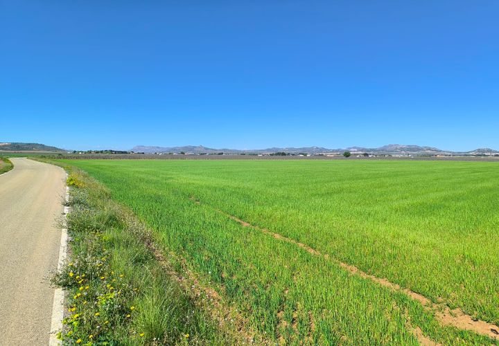 Helårsgrund i Yecla, Murcia, Yecla - € 67.500 | Ref: 70117 - foto 1