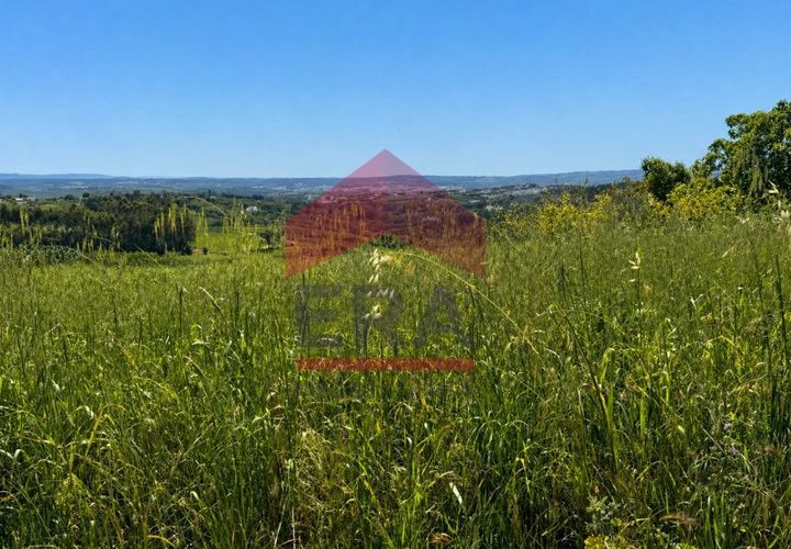 Terra a Carvalhal, Leiria, Carvalhal - € 135.000 | Ref: 150260089 - foto 1