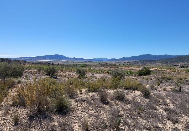 Terra a Monovar, Alicante, Monovar - € 35.000 | Ref: LJ2352 - foto 1