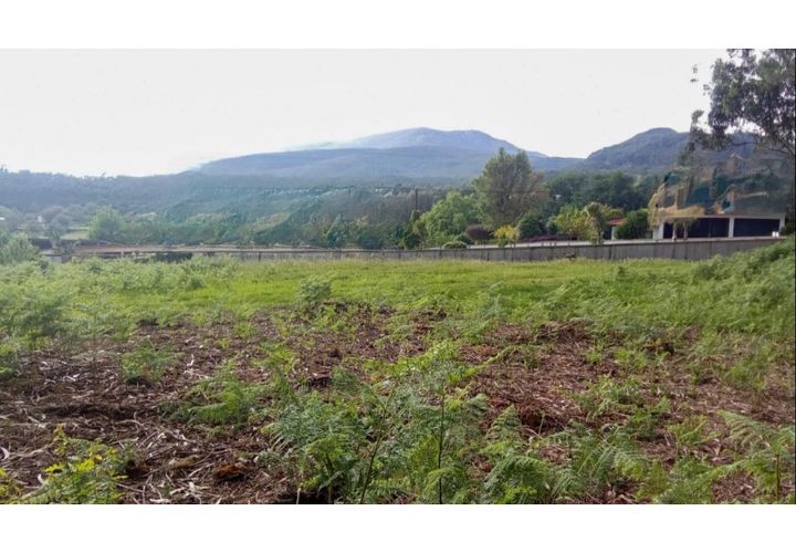 Helårsgrund i Ponte de Lima, Viana do Castelo, Ponte de Lima - € 75.000 | Ref: VCC14723 - foto 1