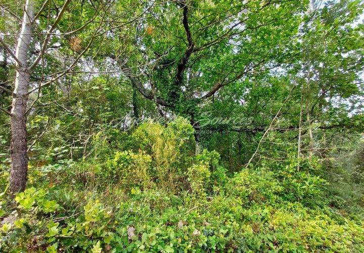 Helårsgrund i Bras, Var, Bras - € 7.000 | Ref: 1704 - foto 1