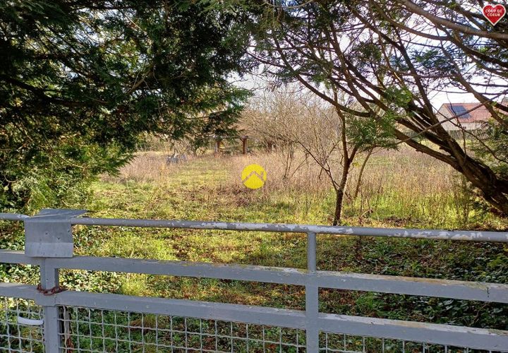 Terra a Diou, Indre, Diou - € 45.000 | Ref: 80MS111627 - foto 1