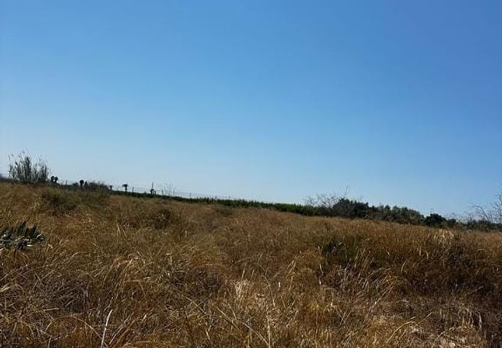 Helårsgrund i Elche, Alicante, Elche - € 185.000 | Ref: SIDX-0051 - foto 1