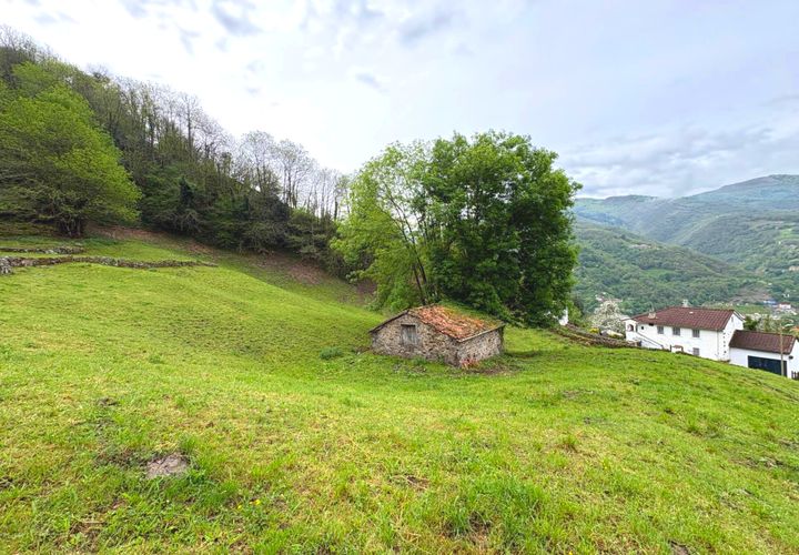 Herregård i Aller, Asturias, Aller - € 30 000 | Ref: QPE00408/10606 - foto 1