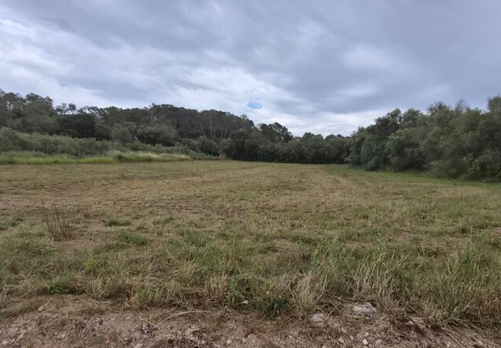 Tomt i Costitx, Mallorca, Costitx - € 240 000 | Ref: 2293 - foto 1
