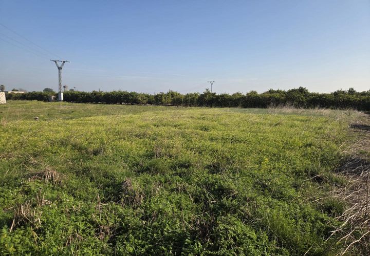 Helårsgrund i Rafelcofer, Valencia, Rafelcofer - € 5.000 | Ref: PNPT293 - foto 1