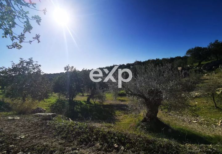Helårsgrund i Rosolini, Siracusa, Rosolini - € 190.000 | Ref: exp-011764 - foto 1
