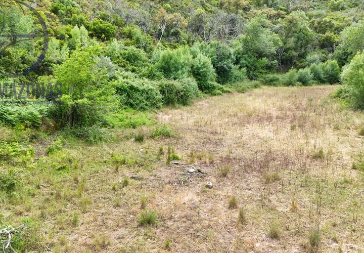 Helårsgrund i Silves, Faro, Silves - € 10.000 | Ref: 07-500-1 - foto 1
