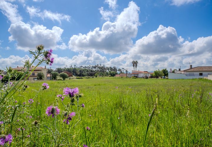 Helårsgrund i Leiria, Leiria, Leiria - € 150.000 | Ref: SF-SAFTI:008230 - foto 1